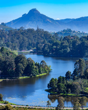 kodaikanal tamilnadu