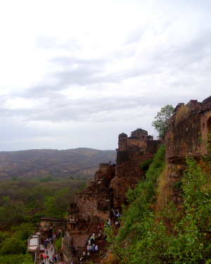 ranthambore-rajasthan